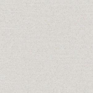 Castor # 993 String by Maxwell Fabric
