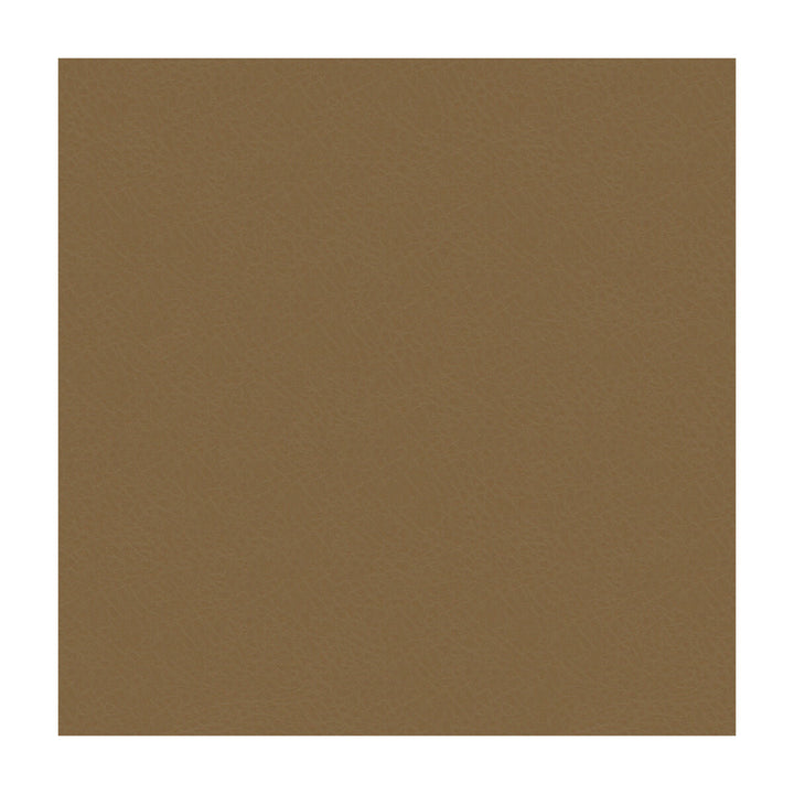 Chadrick-106 by Kravet Smart Fabric PVC - ARTIFICIAL LEATHER - 65%;POLYESTER - 35% United States HEAVY Horizontal: and Vertical: 54 - Fabric Carolina -