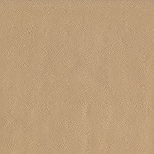 Guardian 102 Champagne by ABBEYSHEA Fabric