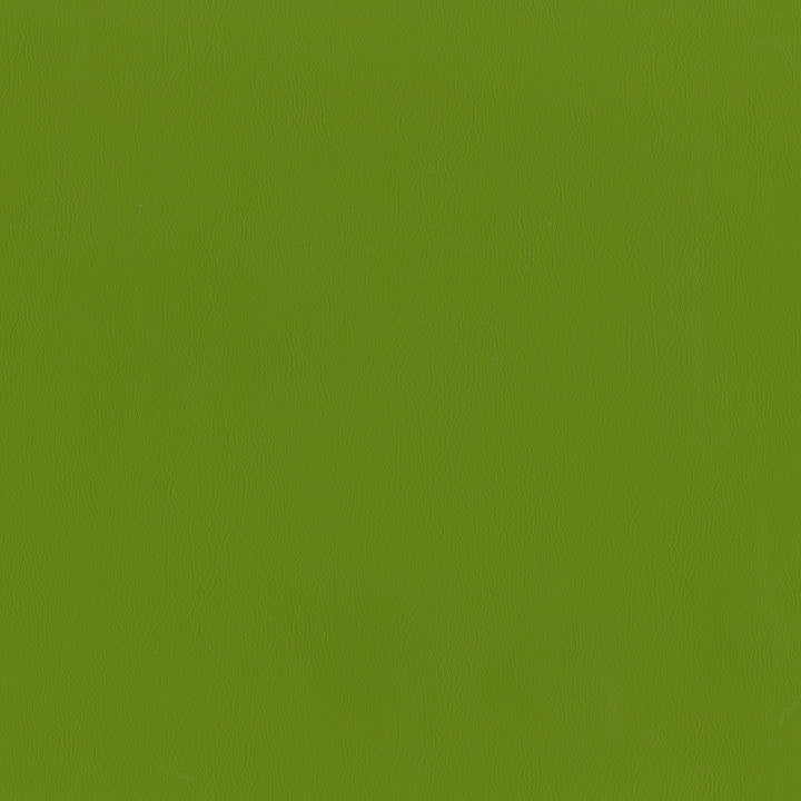 Guardian 205 Spring by ABBEYSHEA Fabric 100% Polyvinyl Chloride (PVC) China 1,500,000 Double Rubs (Wyzenbeek) </p><p>Repeat: Horizontal: and Vertical: 55" (140 cm) - Fabric Carolina -