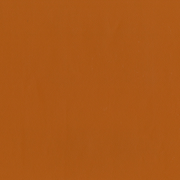 Guardian 44 Pumpkin Spice by ABBEYSHEA Fabric 100% Polyvinyl Chloride (PVC) China 1,500,000 Double Rubs (Wyzenbeek) </p><p>Repeat: Horizontal: and Vertical: 55" (140 cm) - Fabric Carolina -