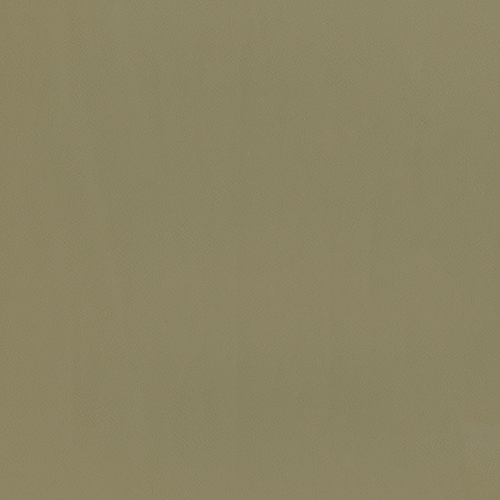 Guardian 609 Taupe by ABBEYSHEA Fabric 100% Polyvinyl Chloride (PVC) China 1,500,000 Double Rubs (Wyzenbeek) </p><p>Repeat: Horizontal: and Vertical: 55" (140 cm) - Fabric Carolina -