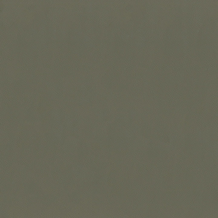 Guardian 802 Mocha by ABBEYSHEA Fabric 100% Polyvinyl Chloride (PVC) China 1,500,000 Double Rubs (Wyzenbeek) </p><p>Repeat: Horizontal: and Vertical: 55" (140 cm) - Fabric Carolina -