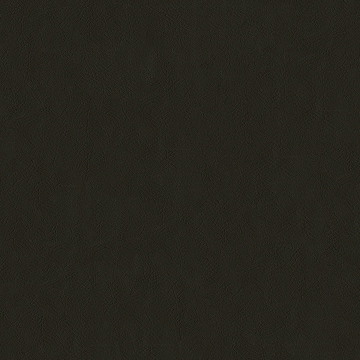 Guardian 809 Chocolate by ABBEYSHEA Fabric 100% Polyvinyl Chloride (PVC) China 1,500,000 Double Rubs (Wyzenbeek) </p><p>Repeat: Horizontal: and Vertical: 55" (140 cm) - Fabric Carolina -
