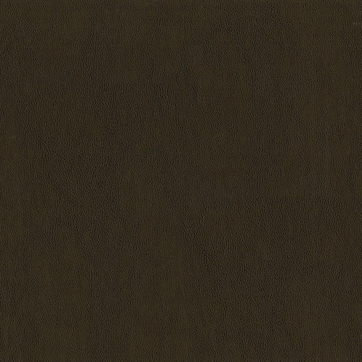 Guardian 88 Tobacco by ABBEYSHEA Fabric 100% Polyvinyl Chloride (PVC) China 1,500,000 Double Rubs (Wyzenbeek) </p><p>Repeat: Horizontal: and Vertical: 55" (140 cm) - Fabric Carolina -