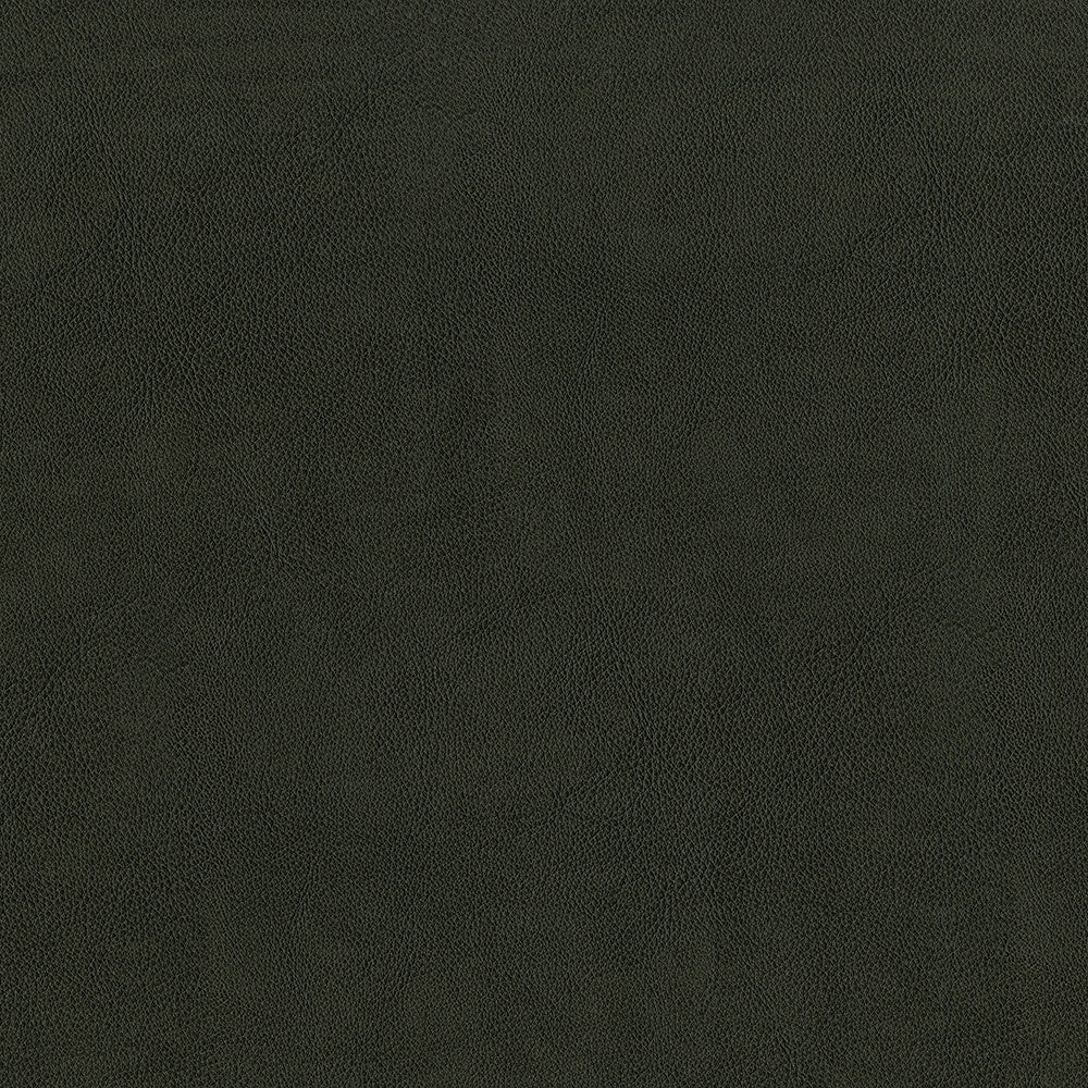 Guardian 98 Charcoal by ABBEYSHEA Fabric 100% Polyvinyl Chloride (PVC) China 1,500,000 Double Rubs (Wyzenbeek) </p><p>Repeat: Horizontal: and Vertical: 55" (140 cm) - Fabric Carolina -