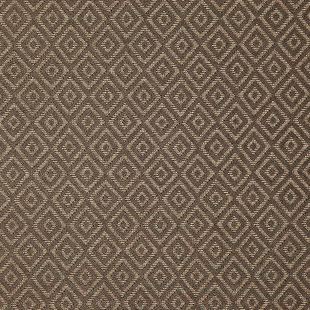 CHAMBER 94J7911 by JF Designer Fabric ARCADIA FIBREGUARD 64% Polyester, 32% Acrylic, 4% Viscose TURKEY ABRASIO (HEAVY DUTY- 30,000+ DOUBLE RUBS) Horizontal: 1.750 and Vertical: 2.500 55.00 - Swanky Fabrics -