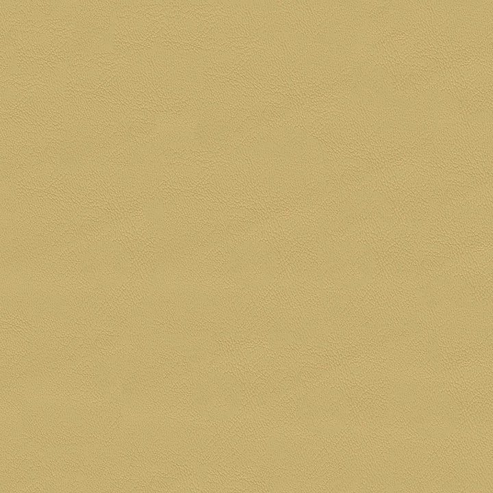Chamea II 02 Stardust by Naugahyde Fabric N/A 100% Polyvinyl Chloride (PVC) US 250,000 Double Rubs </p><p>Repeat: Horizontal: and Vertical: 54" (137 cm) - Fabric Carolina -