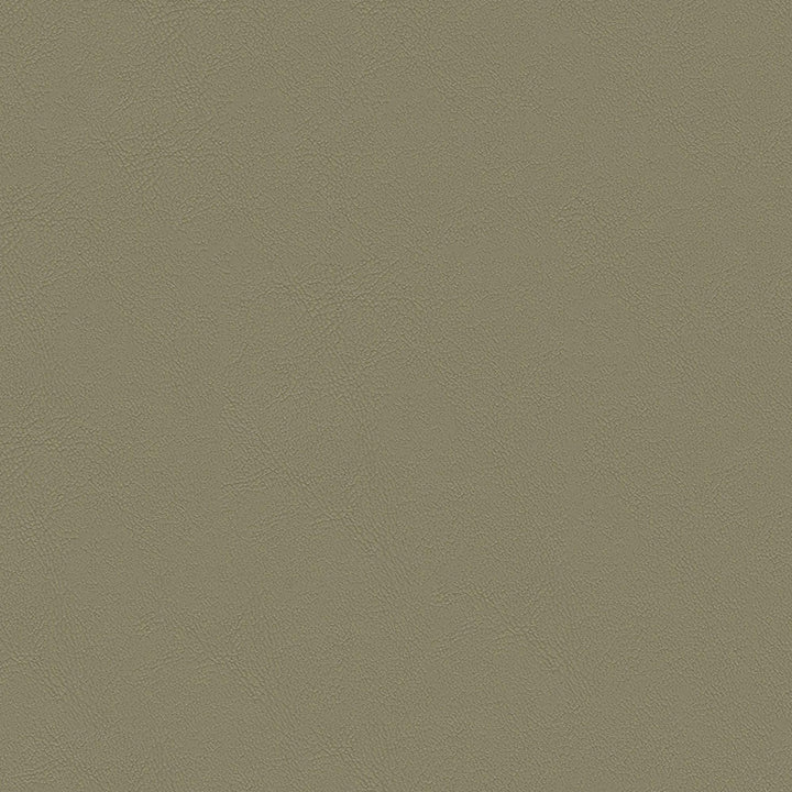 Chamea II 06 Stone by Naugahyde Designer Fabric N/A 100% Polyvinyl Chloride (PVC) US 250,000 Double Rubs </p><p>Repeat: Horizontal: and Vertical: 54" (137 cm) - Swanky Fabrics -