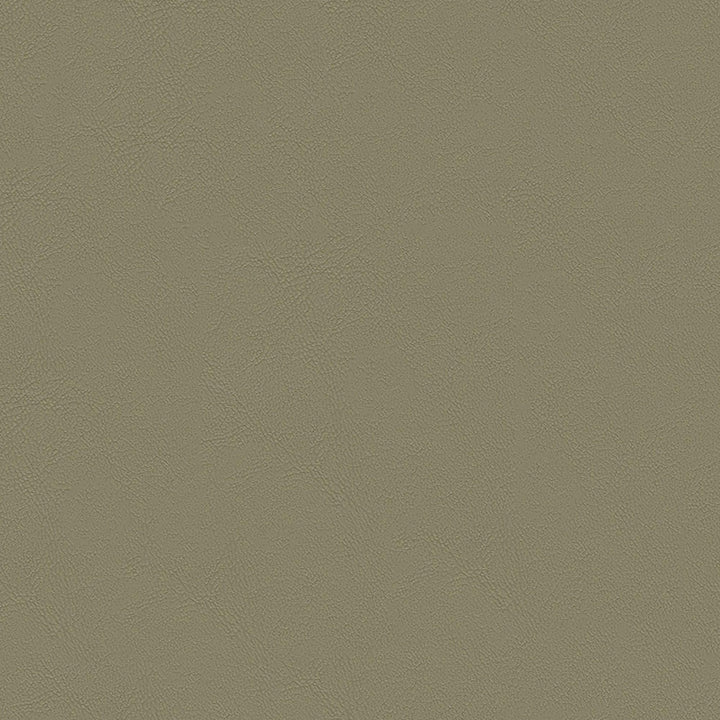 Chamea II 06 Stone by Naugahyde Fabric N/A 100% Polyvinyl Chloride (PVC) US 250,000 Double Rubs </p><p>Repeat: Horizontal: and Vertical: 54" (137 cm) - Fabric Carolina -