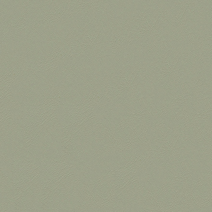 Chamea II 10 Palm by Naugahyde Fabric N/A 100% Polyvinyl Chloride (PVC) US 250,000 Double Rubs </p><p>Repeat: Horizontal: and Vertical: 54" (137 cm) - Fabric Carolina -