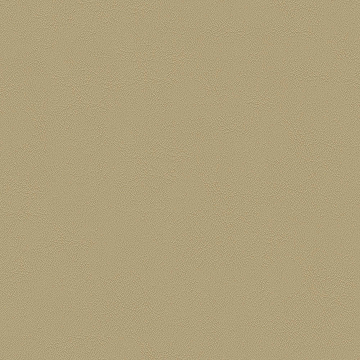 Chamea II 12 Sand by Naugahyde Designer Fabric N/A 100% Polyvinyl Chloride (PVC) US 250,000 Double Rubs </p><p>Repeat: Horizontal: and Vertical: 54" (137 cm) - Swanky Fabrics -