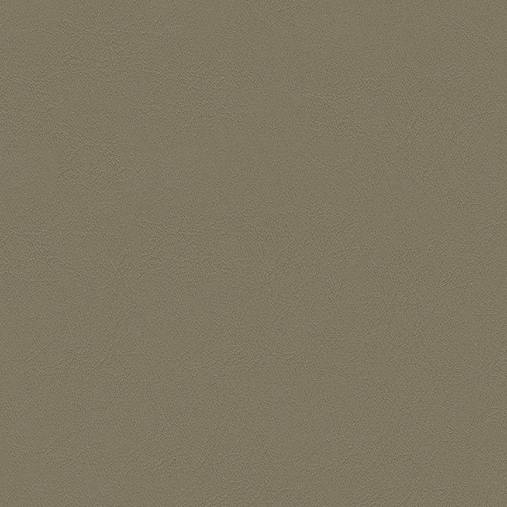 Chamea II 19 Antelope by Naugahyde Fabric 100% Polyvinyl Chloride (PVC) US 250,000 Double Rubs (Wyzenbeek) </p><p>Repeat: Horizontal: and Vertical: 54" (137 cm) - Fabric Carolina -
