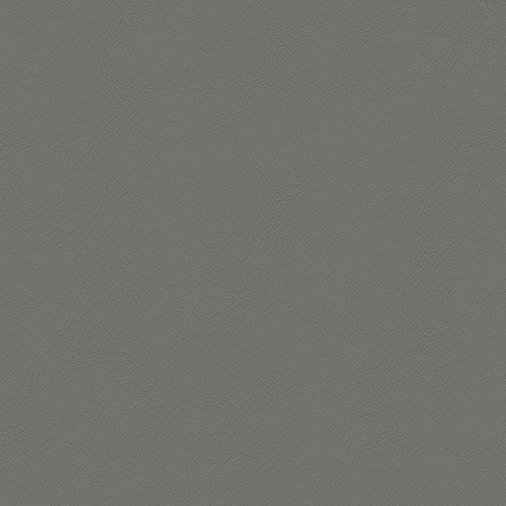Chamea II 21 Dk. Pewter by Naugahyde Fabric N/A 100% Polyvinyl Chloride (PVC) US 250,000 Double Rubs </p><p>Repeat: Horizontal: and Vertical: 54" (137 cm) - Fabric Carolina -