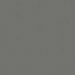 Chamea II 21 Dk. Pewter by Naugahyde Fabric