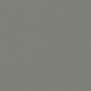 Chamea II 22 Lt. Grey by Naugahyde Fabric