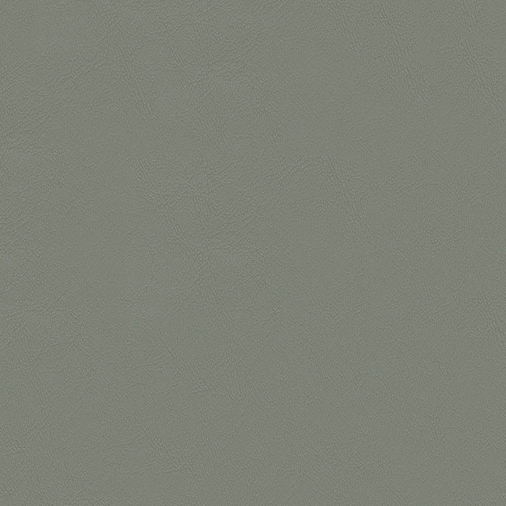 Chamea II 22 Lt. Grey by Naugahyde Fabric N/A 100% Polyvinyl Chloride (PVC) US 250,000 Double Rubs </p><p>Repeat: Horizontal: and Vertical: 54" (137 cm) - Fabric Carolina -