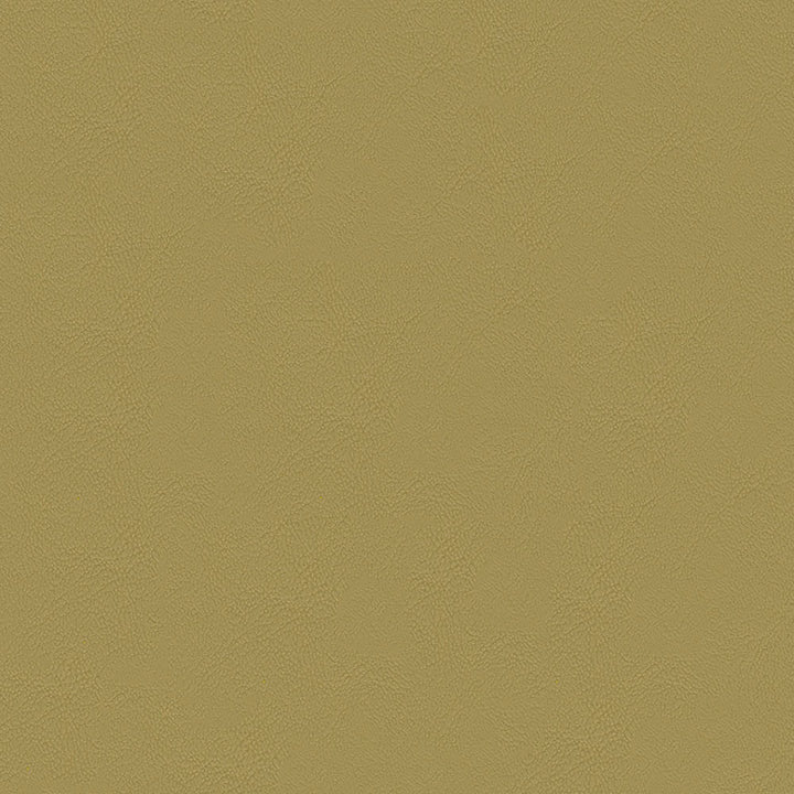 Chamea II 24 Eden by Naugahyde Fabric 100% Polyvinyl Chloride (PVC) US 250,000 Double Rubs (Wyzenbeek) </p><p>Repeat: Horizontal: and Vertical: 54" (137 cm) - Fabric Carolina -