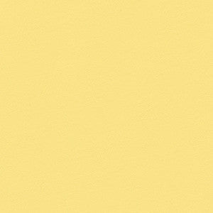 Chamea II 25 First Light by Naugahyde Fabric