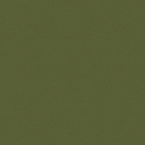 Chamea II 30 Cyprus by Naugahyde Fabric