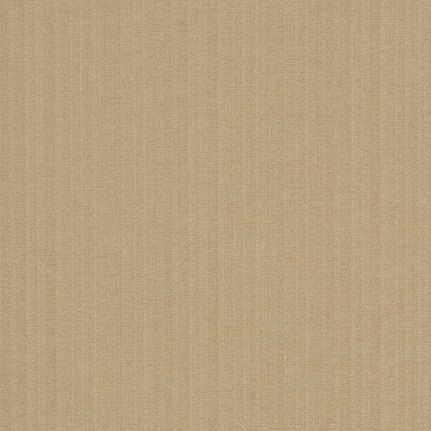 Champion 11J6391 by JF Fabric Champion Book 83% Polyester, 17% Cotton India 90000 H: , V: 55 - Fabric Carolina -