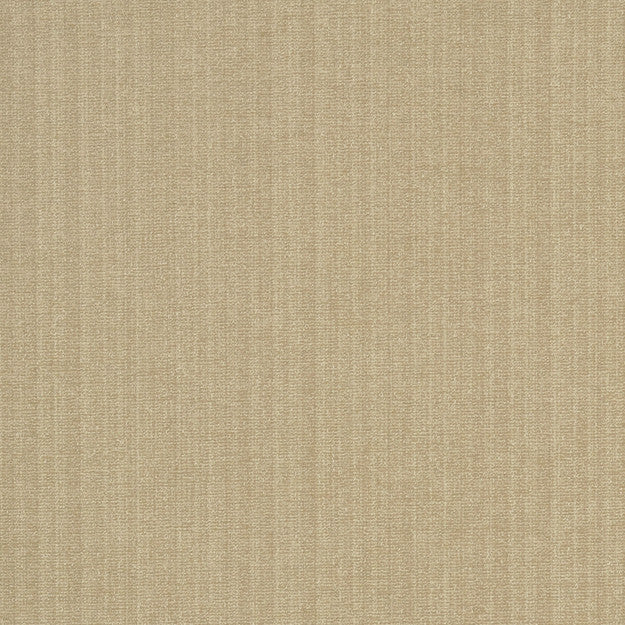 Champion 12J6391 by JF Fabric Champion Book 83% Polyester, 17% Cotton India 90000 H: , V: 55 - Fabric Carolina -