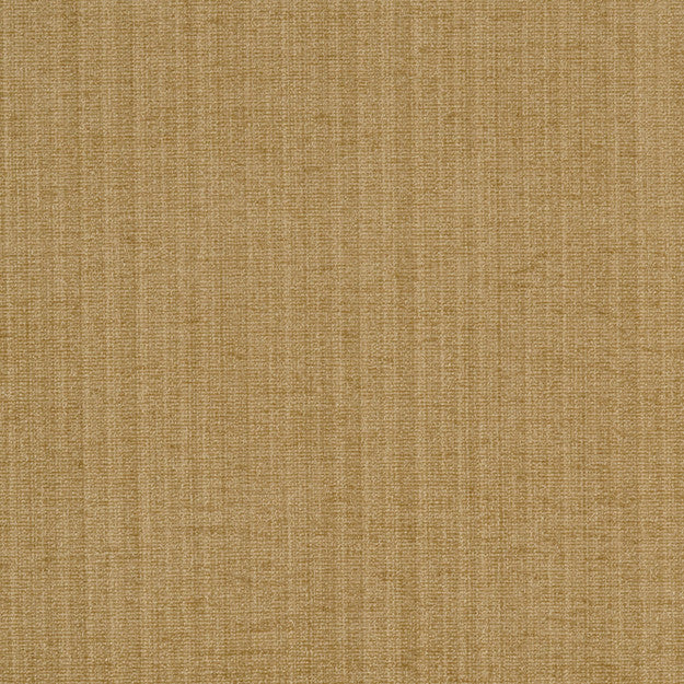 Champion 16J6391 by JF Fabric Champion Book 83% Polyester, 17% Cotton India 90000 H: , V: 55 - Fabric Carolina -