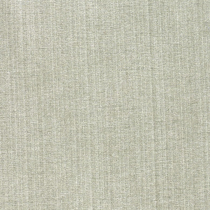 Champion 195J6391 by JF Fabric Champion Book 83% Polyester, 17% Cotton India 90000 Horizontal: and Vertical: 55 - Fabric Carolina -