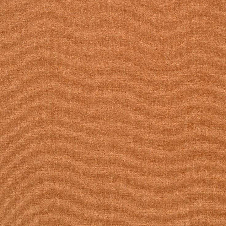 Champion 24J6391 by JF Designer Fabric Champion Book 83% Polyester, 17% Cotton India 90000 Horizontal: and Vertical: 55 - Swanky Fabrics -