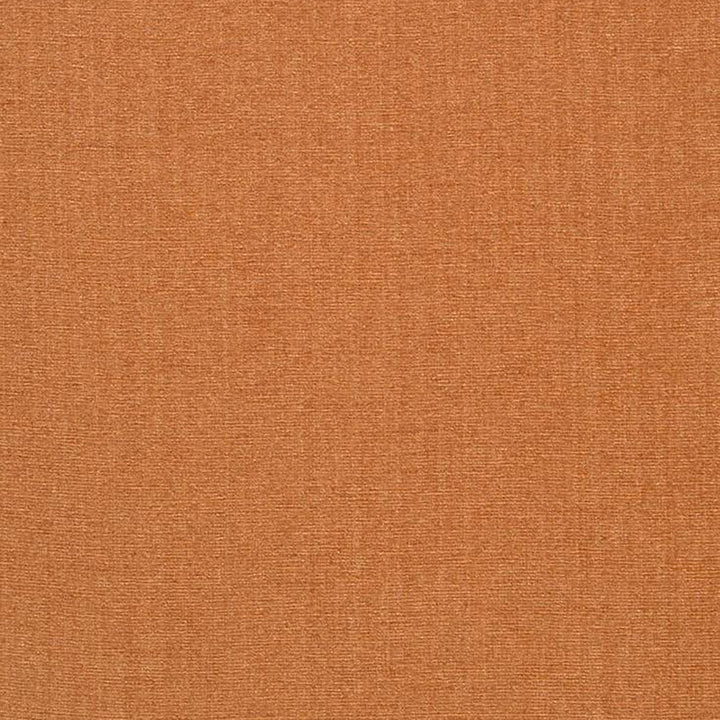 Champion 24J6391 by JF Fabric Champion Book 83% Polyester, 17% Cotton India 90000 Horizontal: and Vertical: 55 - Fabric Carolina -
