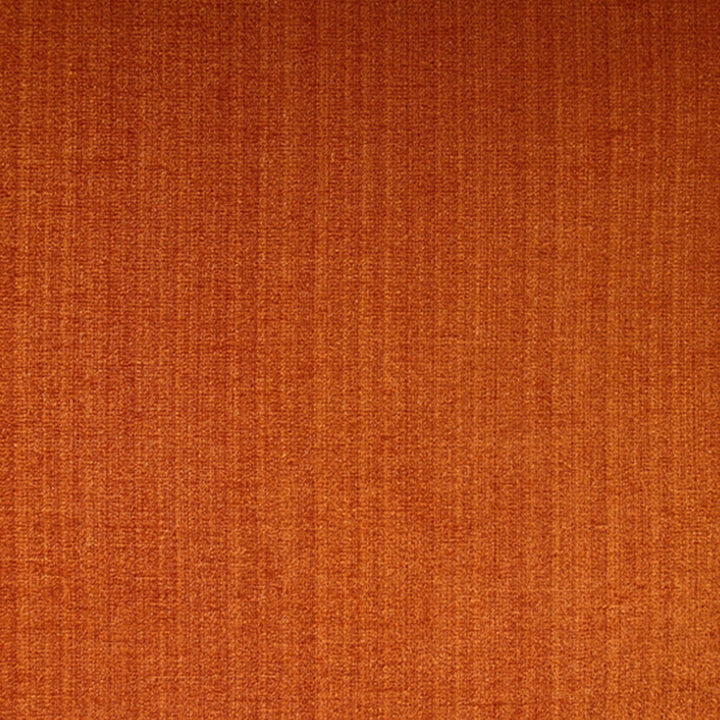 Champion 25J6391 by JF Fabric Champion Book 83% Polyester, 17% Cotton India 90000 Horizontal: and Vertical: 55 - Fabric Carolina -