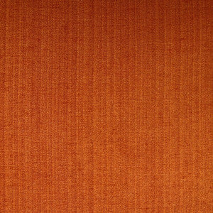 Champion 25J6391 by JF Fabric