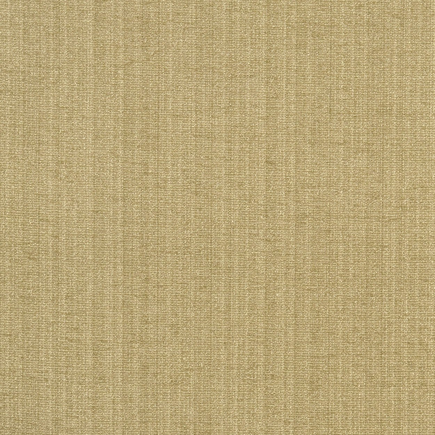 Champion 70J5241 by JF Fabric PROMENADE 83% Polyester, 17% Cotton India 90000 Horizontal: and Vertical: 55 - Fabric Carolina -