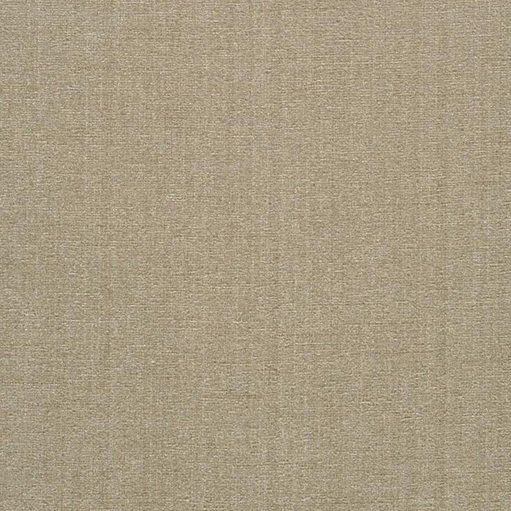 Champion 71J6391 by JF Fabric Champion Book 83% Polyester, 17% Cotton India 90000 Horizontal: and Vertical: 55 - Fabric Carolina -