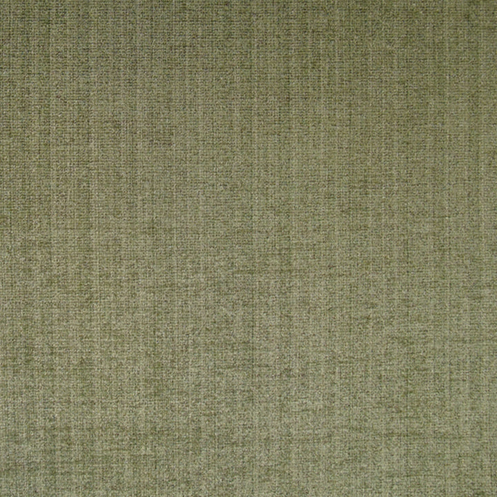 Champion 74J6391 by JF Fabric Champion Book 83% Polyester, 17% Cotton India 90000 Horizontal: and Vertical: 55 - Fabric Carolina -