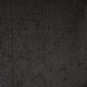 Champion 99J5241 by JF Fabric