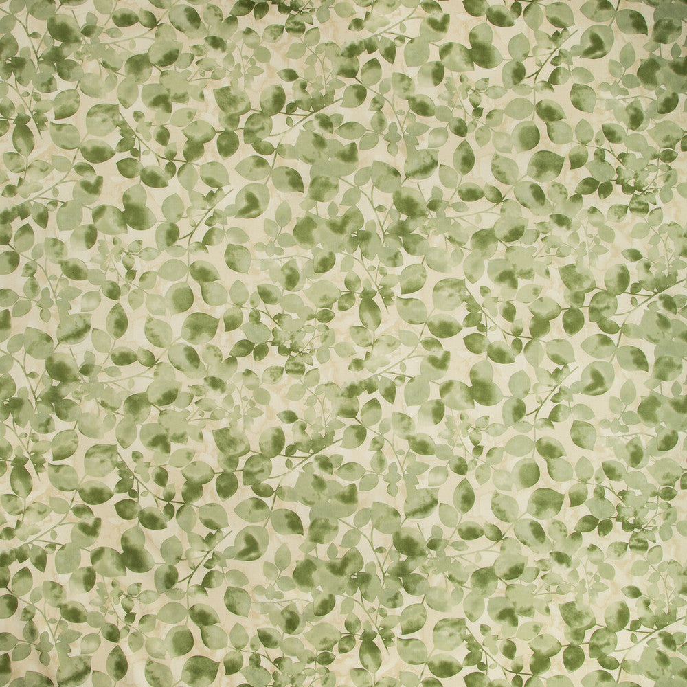 Chaplet-316 by Kravet Basics Fabric COTTON - 100% Peru HEAVY Horizontal: 27 and Vertical: 27 54 - Fabric Carolina -