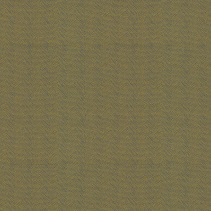 Amp 508 Maize by ABBEYSHEA Fabric