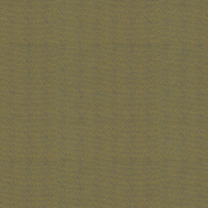 Amp 508 Maize by ABBEYSHEA Fabric