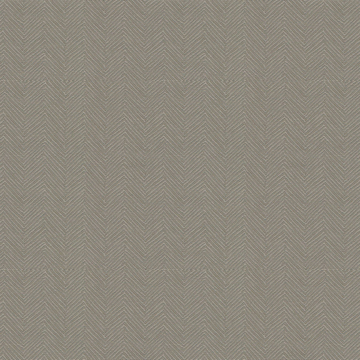 Amp 6008 Praline by ABBEYSHEA Fabric 100% Polyester China 14,000 Double Rubs (Wyzenbeek) </p><p>Repeat: Horizontal: 0.1" (0.2 cm) Up the Roll and Vertical: 1.2" (3.2 cm) Across the Roll 57" (144 cm) - Fabric Carolina -