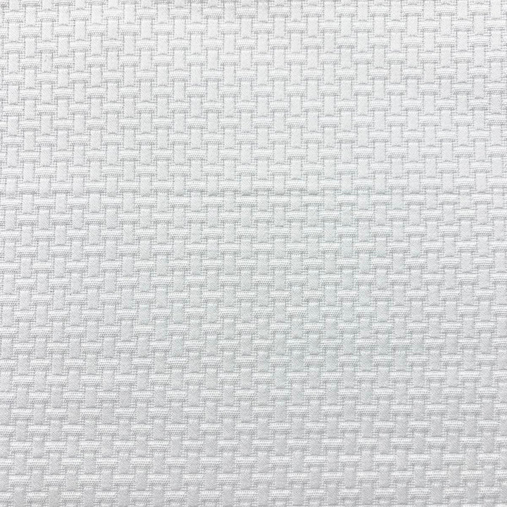 Charlotte Snowy by Magnolia Fabric - 100% Cotton India 46500 Horizontal: 0.63 and Vertical: 0.63 54.5 - Fabric Carolina -