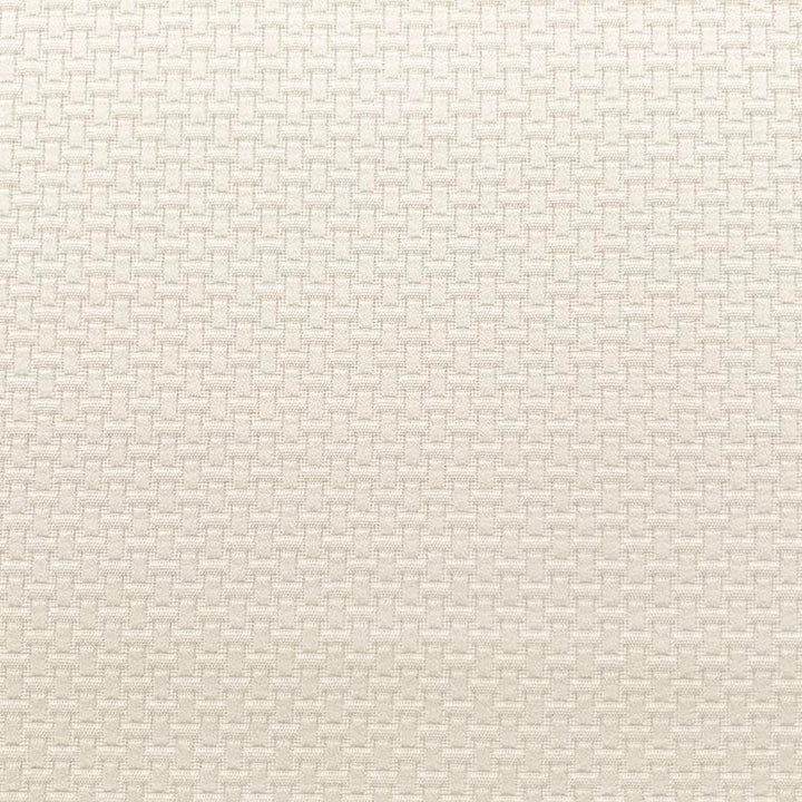 Charlotte Cream by Magnolia Fabric - 100 % COTTON INDIA 46,500 Horizontal: .63 and Vertical: .63 54.5 - Fabric Carolina -