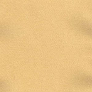 Charm Apricot by Norbar Fabric 100% POLYESTER INDIA 54" - Fabric Carolina -