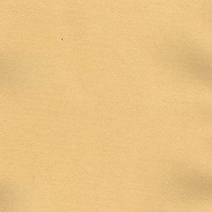 Charm Apricot by Norbar Designer Fabric 100% POLYESTER INDIA 54" - Swanky Fabrics -