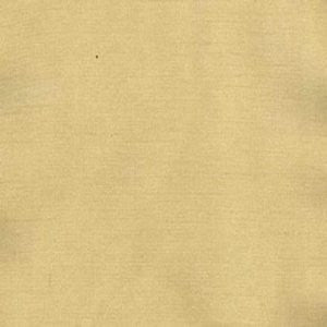 Charm Camel by Norbar Fabric