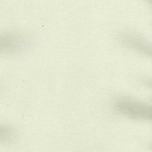 Charm Chablis by Norbar Fabric