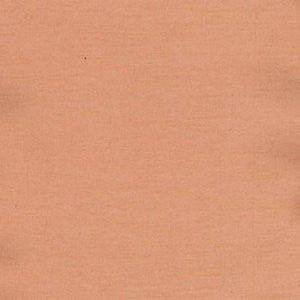 Charm Clay by Norbar Fabric 100% POLYESTER INDIA 54" - Fabric Carolina -