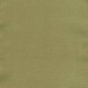 Charm Kiwi by Norbar Fabric