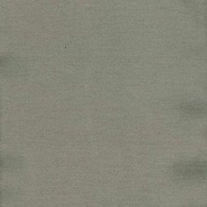 Charm Leaf by Norbar Fabric