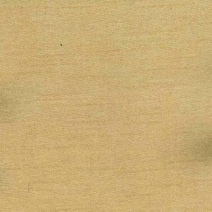 Charm Putty by Norbar Fabric 100% POLYESTER INDIA 54" - Fabric Carolina -